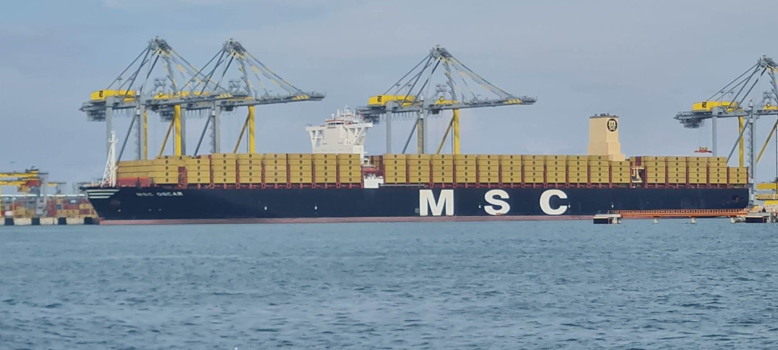 אונייה MSC